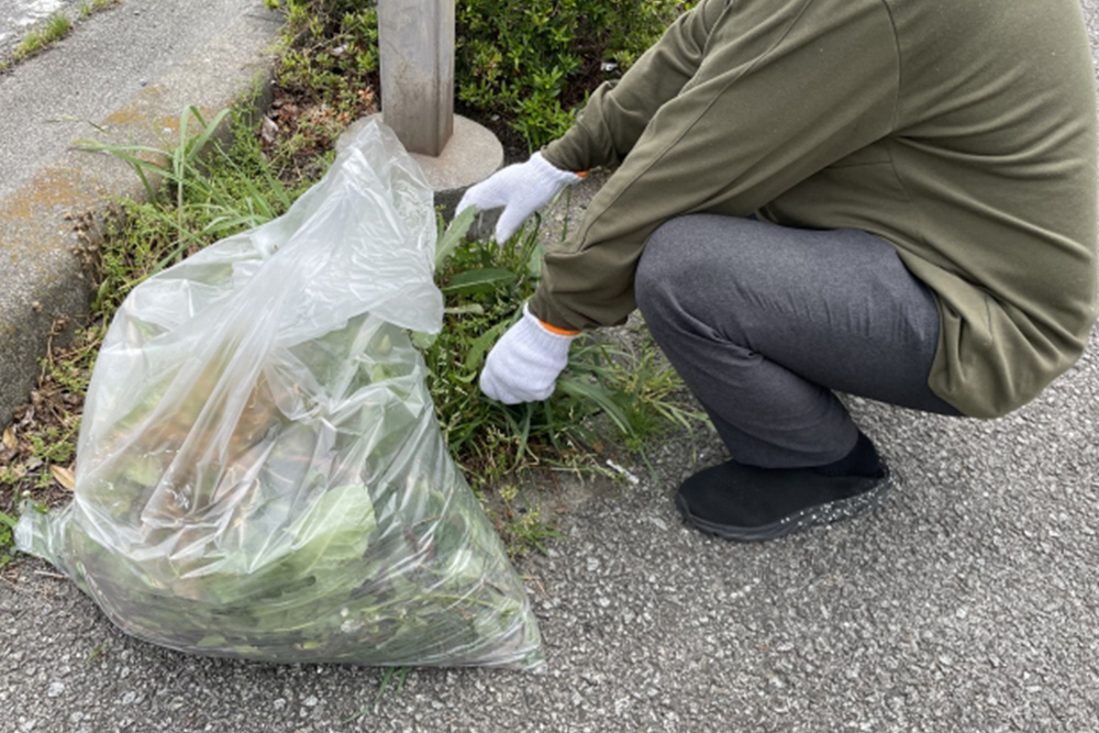 地域清掃活動への参加