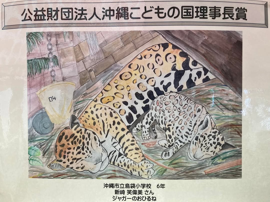 公式インスタグラム投稿7